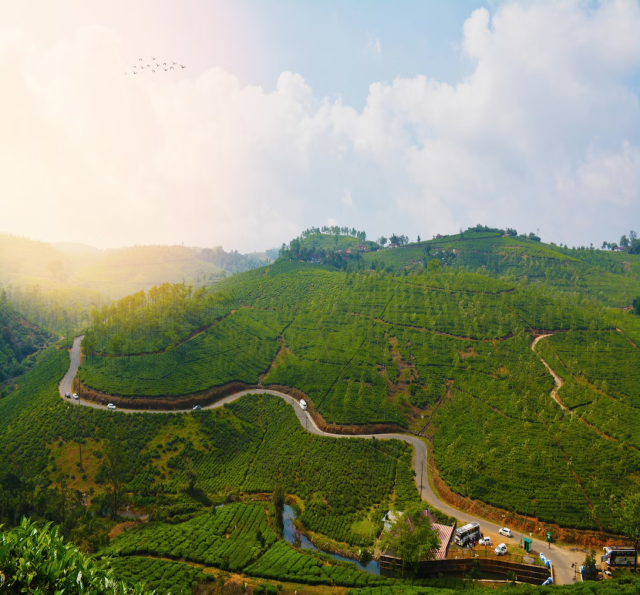 vagamon elappara road