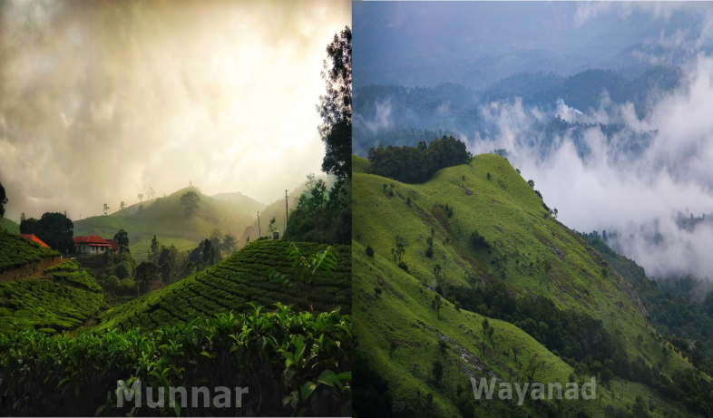 munnar and wayanad comparison