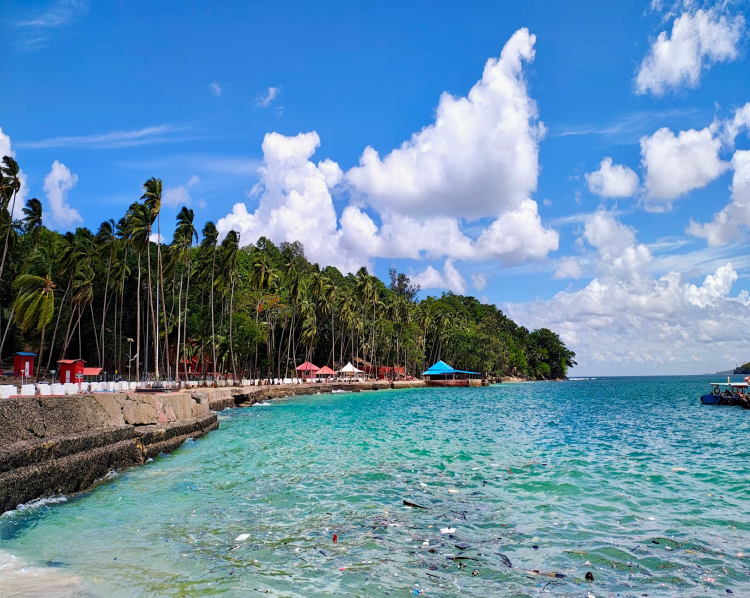 andaman nicobar island with beac and trees