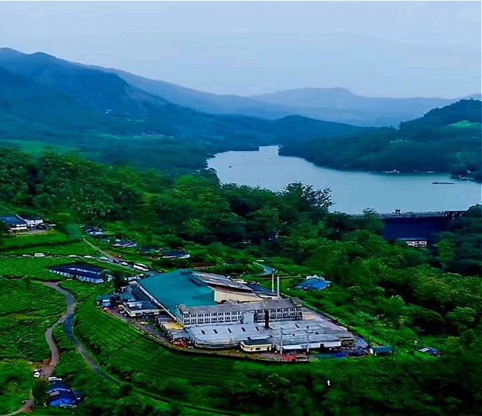 mattupetty tea estate