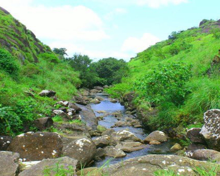 idukki wildlife sanctuary