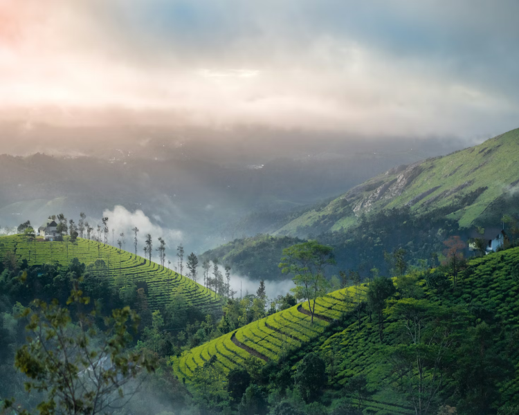 vagamon's misty hills