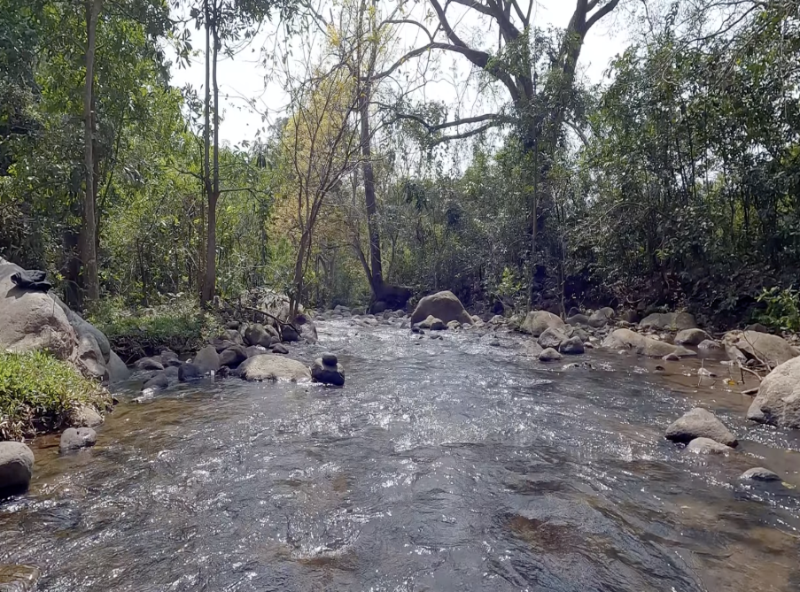 kallar river nilgiri district tamilnadu