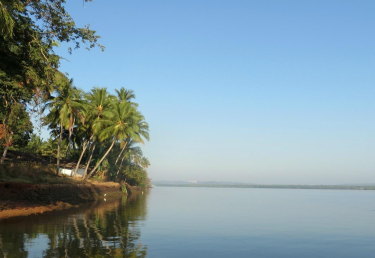 chorao island goa, north goa